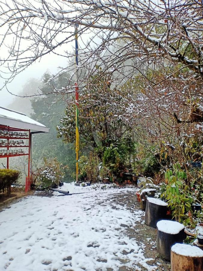 Hermit Retreat Darjeeling  Extérieur photo